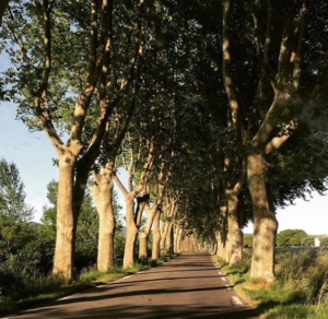 Route d'Uzès